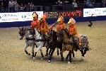 Quadrille - 00019